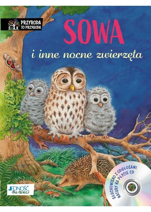 Sowa i inne nocne zwierzęta