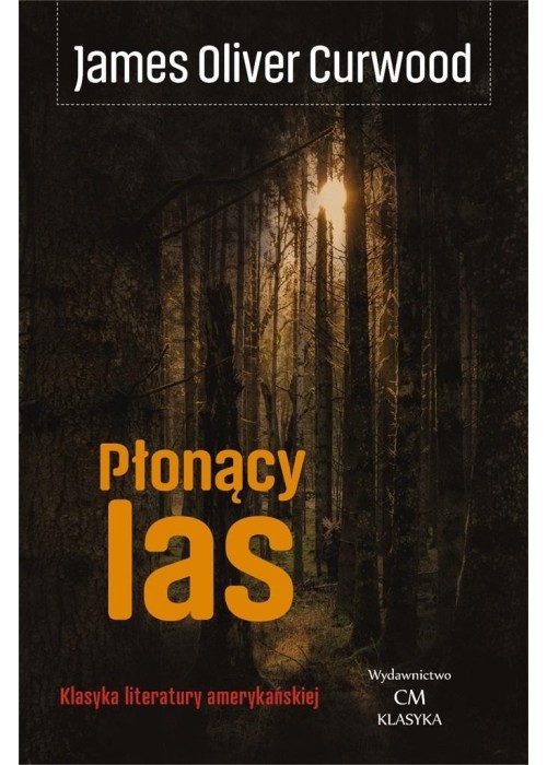 Płonący las