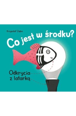 Co jest w środku? Odkrycia z latarką