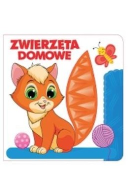 Zwierzęta domowe