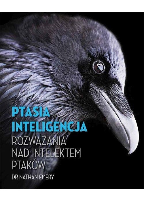 Ptasia inteligencja