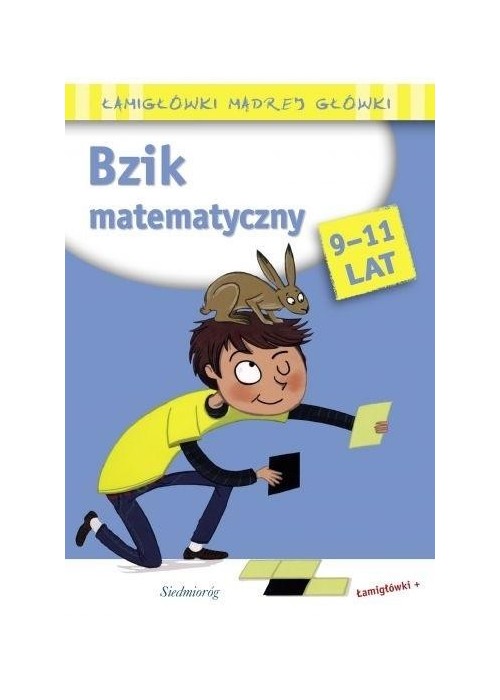 Bzik matematyczny. Łamigłówki mądrej główki