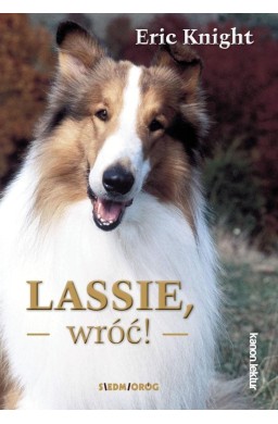 Lassie, wróć!