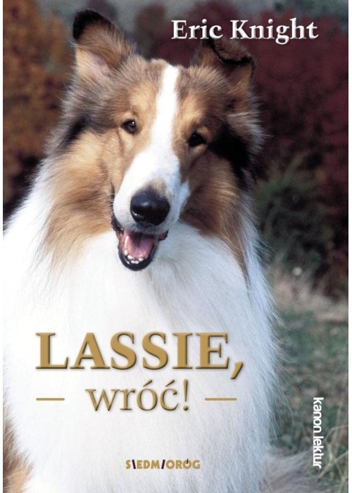 Lassie, wróć!