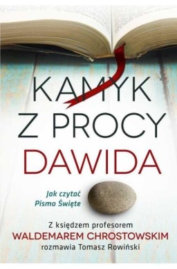 Kamyk z procy Dawida. Jak czytać Pismo Święte?