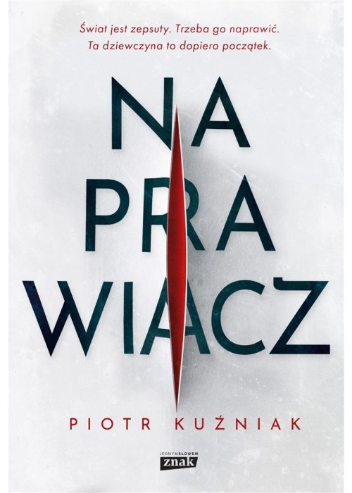 Naprawiacz