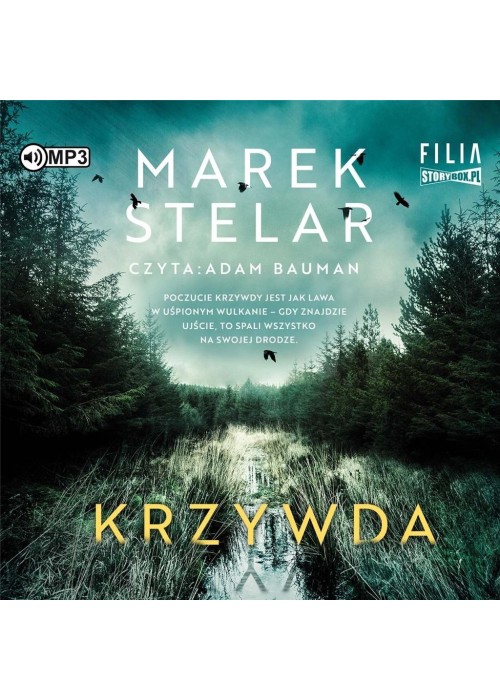 Krzywda audiobook