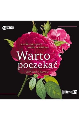 Warto poczekać audiobook