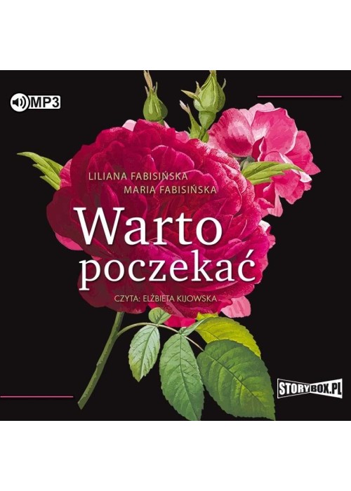 Warto poczekać audiobook