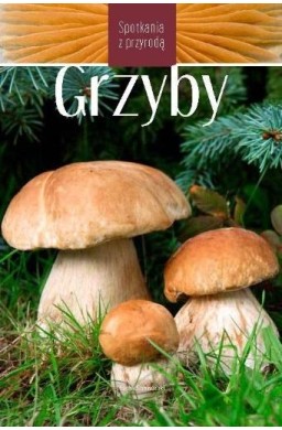 Grzyby. Spotkania z przyrodą