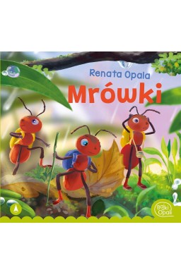 Mrówki