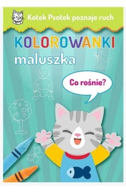 Kotek Psotek poznaje ruch. Co rośnie?