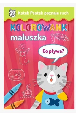 Kotek Psotek poznaje ruch. Co pływa?