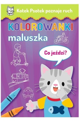 Kotek Psotek poznaje ruch. Co jeździ?