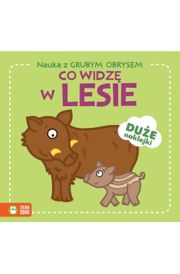 Nauka z grubym obrysem. Co widzę w lesie