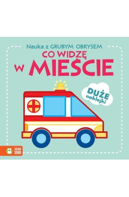 Nauka z grubym obrysem. Co widzę w mieście