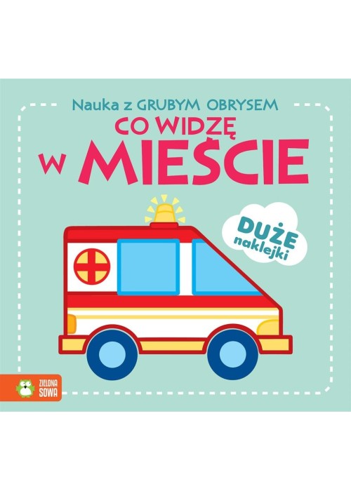 Nauka z grubym obrysem. Co widzę w mieście