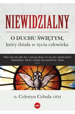 Niewidzialny. O Duchu Świętym, który działa..