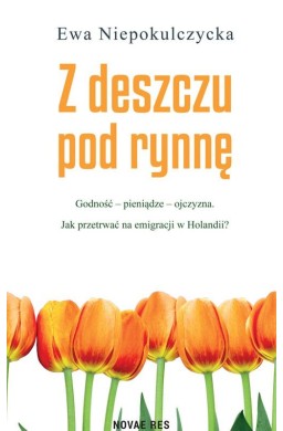 Z deszczu pod rynnę