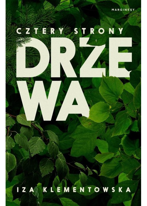 Cztery strony drzewa