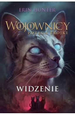 Wojownicy T.13 Widzenie