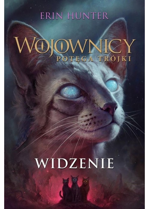 Wojownicy T.13 Widzenie