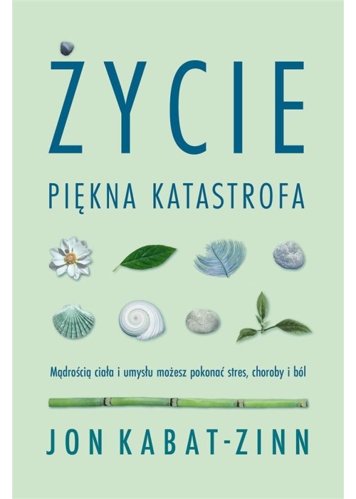 Życie, piękna katastrofa