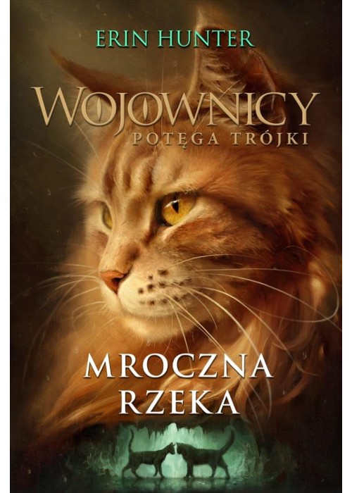 Wojownicy T.14 Mroczna rzeka