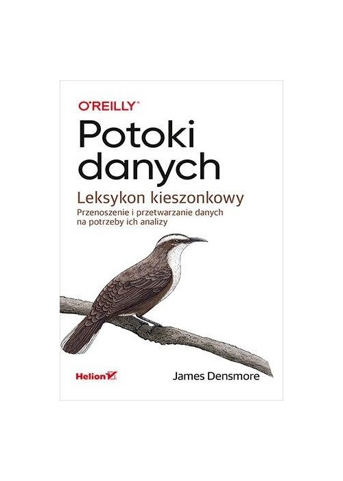 Potoki danych. Leksykon kieszonkowy