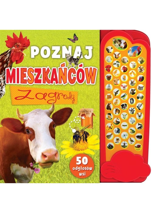 Poznaj mieszkańców zagrody