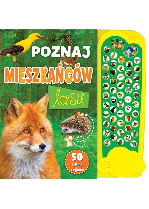 Poznaj mieszkańców lasu