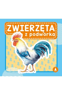 Zwierzęta z podwórka