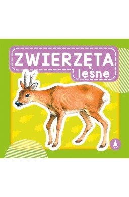 Zwierzęta leśne