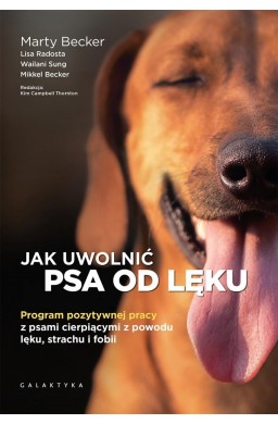 Jak uwolnić psa od lęku. Program pozytywnej pracy