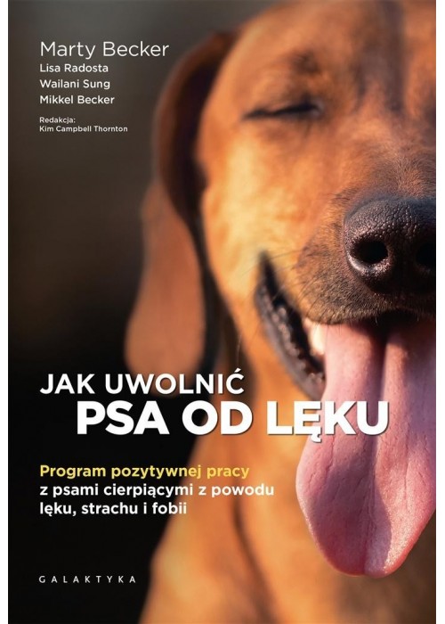 Jak uwolnić psa od lęku. Program pozytywnej pracy