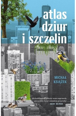 Atlas dziur i szczelin