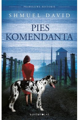 Pies komendata