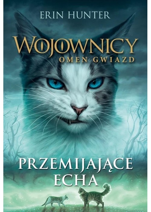 Wojownicy T.20 Przemijające echa