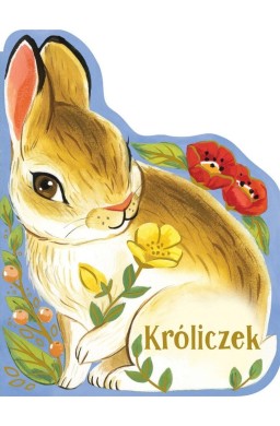 Króliczek