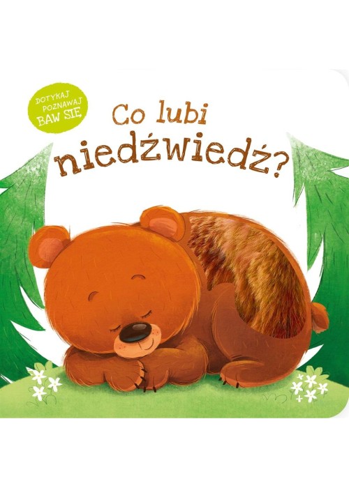 Co lubi niedźwiedź?