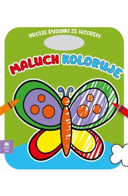 Maluch koloruje motyl