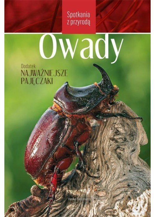 Spotkania z przyrodą. Owady