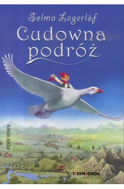 Cudowna podróż BR w.2018