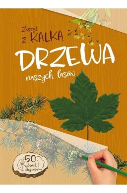 Drzewa naszych lasów. Zeszyt z kalką