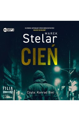 Cień audiobook