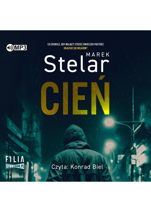 Cień audiobook