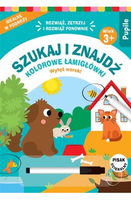 Szukaj i znajdź. Kolorowe łamigłówki. Pupile