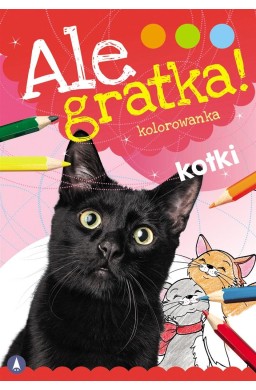 Ale gratka! Kotki