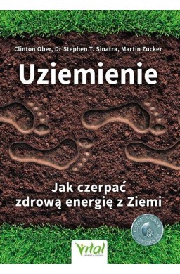 Uziemienie Jak czerpać zdrową energię z ziem