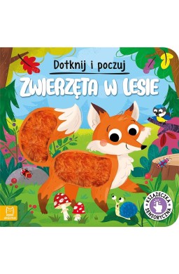 Dotknij i poczuj. Zwierzęta w lesie